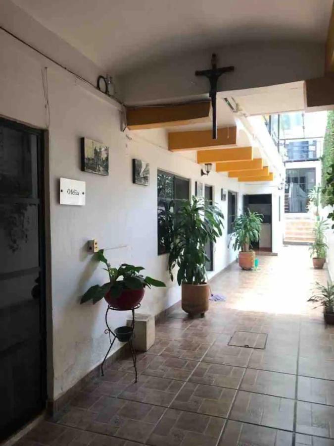 Apartament Cute Apart Excellently Located Oaxaca Zewnętrze zdjęcie