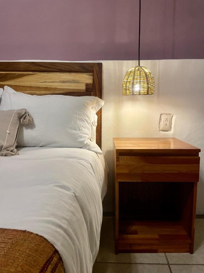 Apartament Cute Apart Excellently Located Oaxaca Zewnętrze zdjęcie
