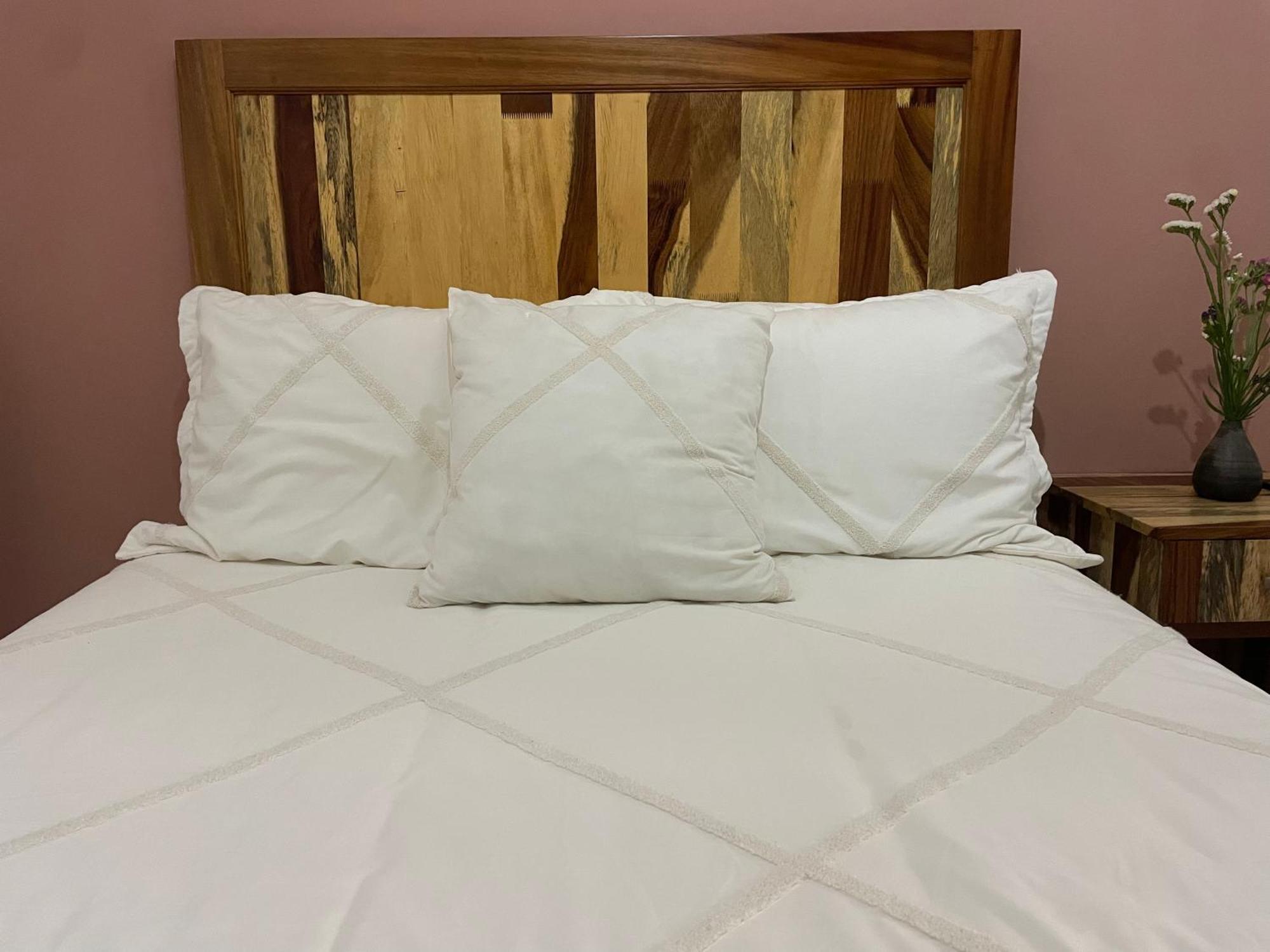 Apartament Cute Apart Excellently Located Oaxaca Zewnętrze zdjęcie