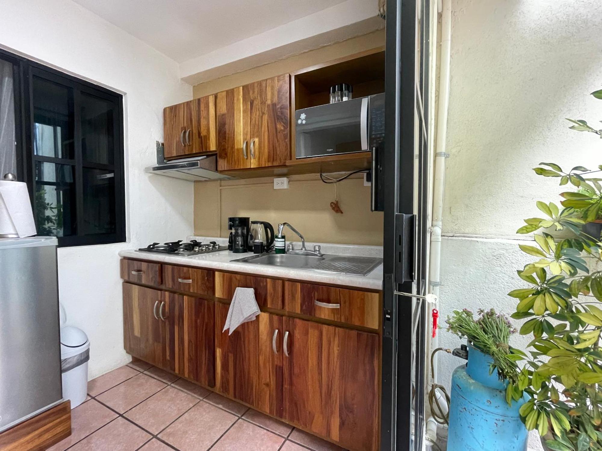 Apartament Cute Apart Excellently Located Oaxaca Zewnętrze zdjęcie